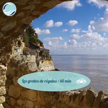 Chelona Vinifera - Parc Arbore - Chelona'loc Saint-Ciers-du-Taillon