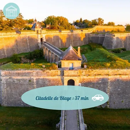 Chelona Vinifera - Parc Arbore - Chelona'loc