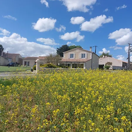 Chelona Vinifera - Parc Arbore - Chelona'loc Saint-Ciers-du-Taillon